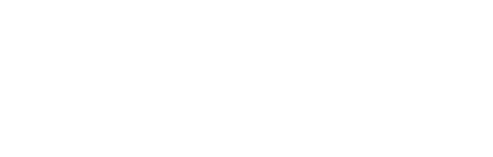 Aikido Berlin - TomoSei Shin e.V. Logo lang